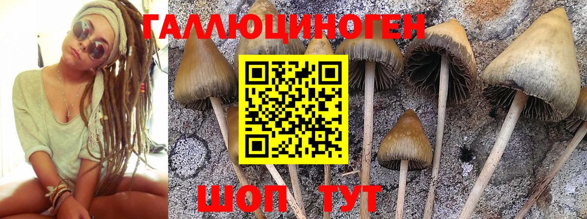 дарнет шоп  Галлюциногенные грибы мухоморы  Вход с VPN  Домодедово 