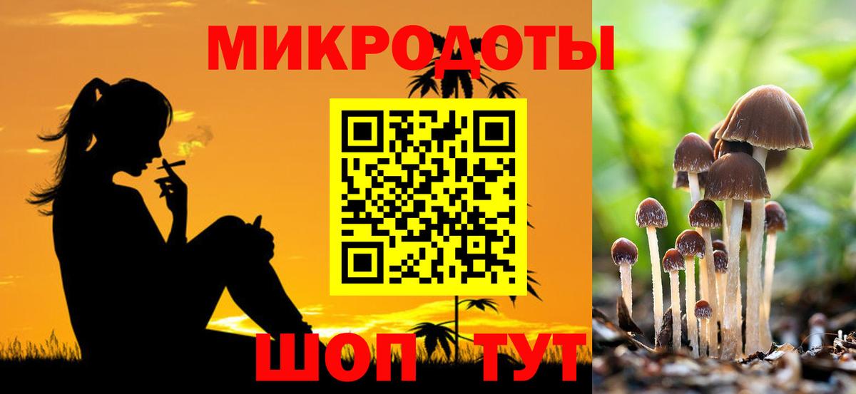 Псилоцибиновые грибы мухоморы Домодедово